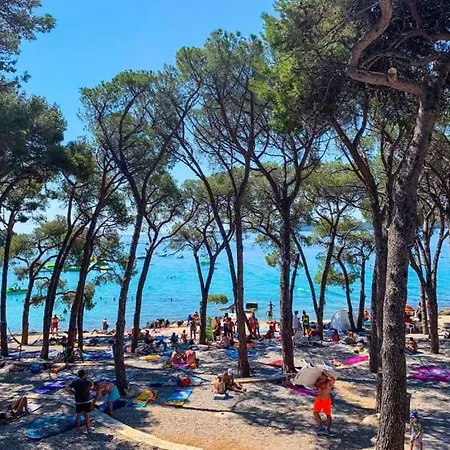 Mobile Loren אתר קמפינג