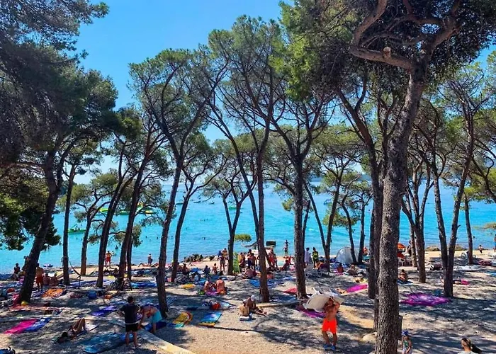 Mobile Loren אתר קמפינג